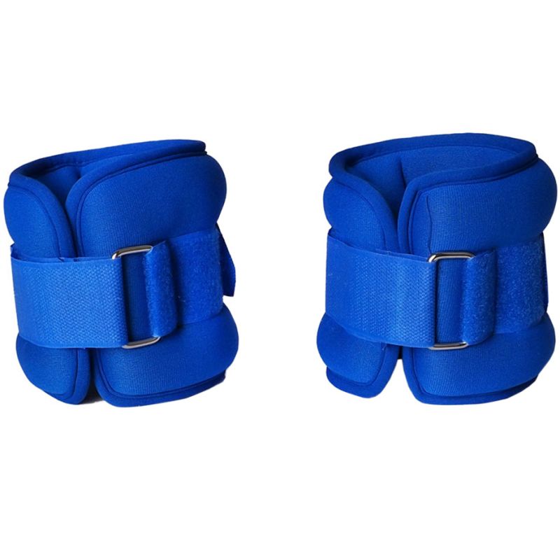 PRFIT Evolution 2x0,5kg DK 3310