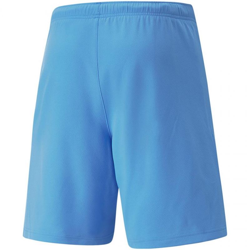 Trenky Puma teamRise Short Team M 704942 18