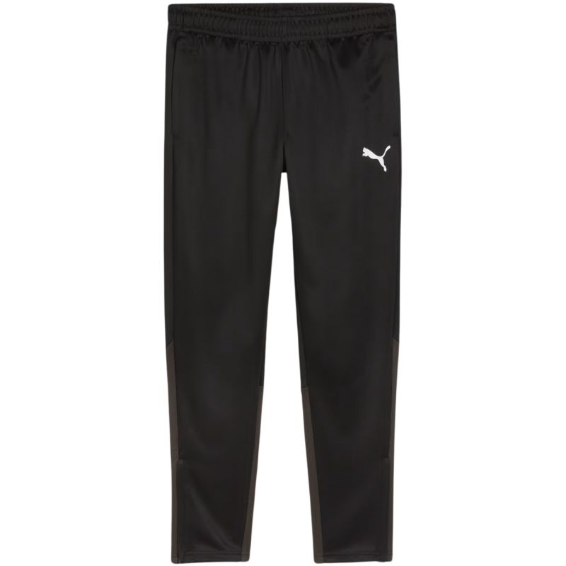 Tepláky Puma Team Goal Training M 658639 03