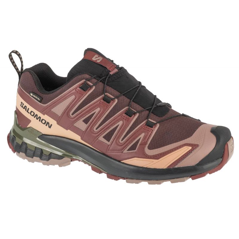 Salomon XA Pro 3D v9 GTX M L47583500