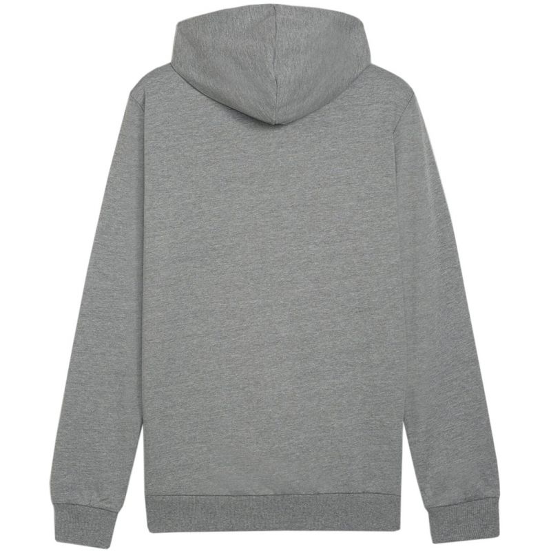 Puma Team Goal Casuals Hoody M 658618 33