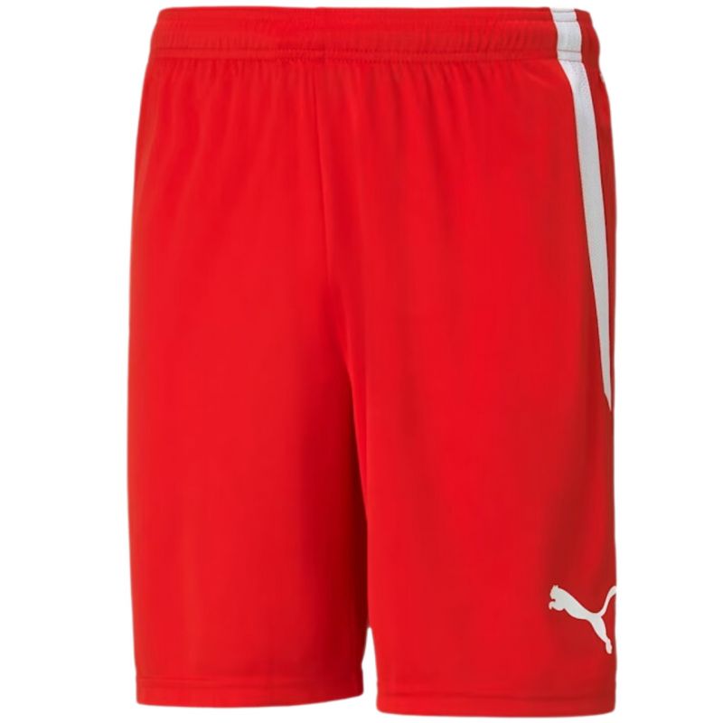 Trenky Puma teamLIGA M 704924 01