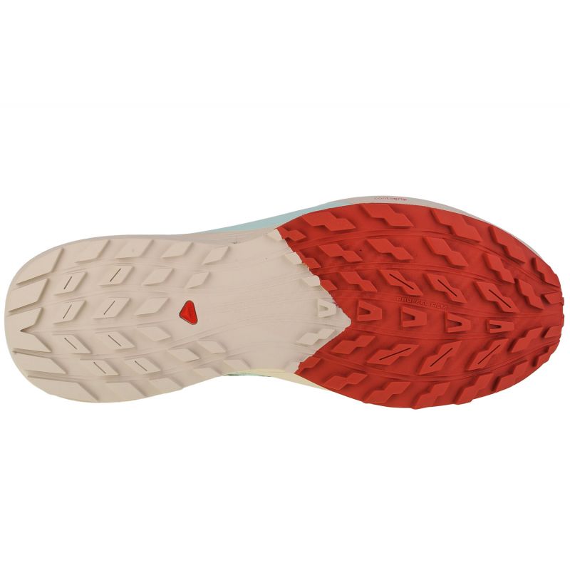 Salomon Sense Ride 5 M 472117