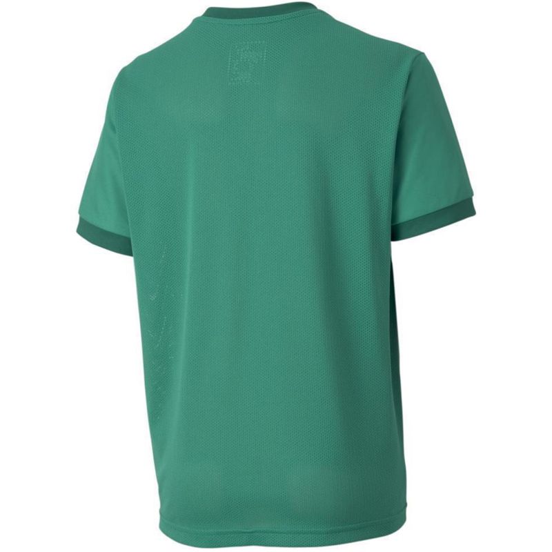 Tričko Puma teamGOAL 23 Jersey Jr 704160 05