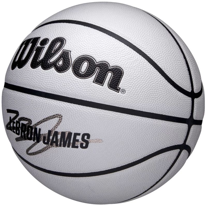 Wilson NBA Player Icon Uv Bskt Lebron WZ4030501XB
