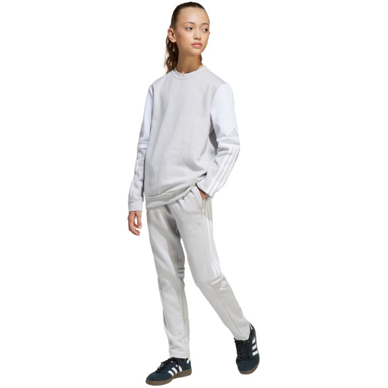 adidas Squadra 25 Sweat Crew Jr JD4824