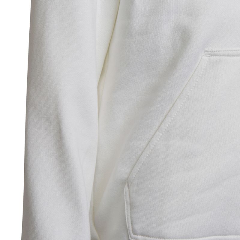 adidas Entrada 22 Hoody Jr HG6303