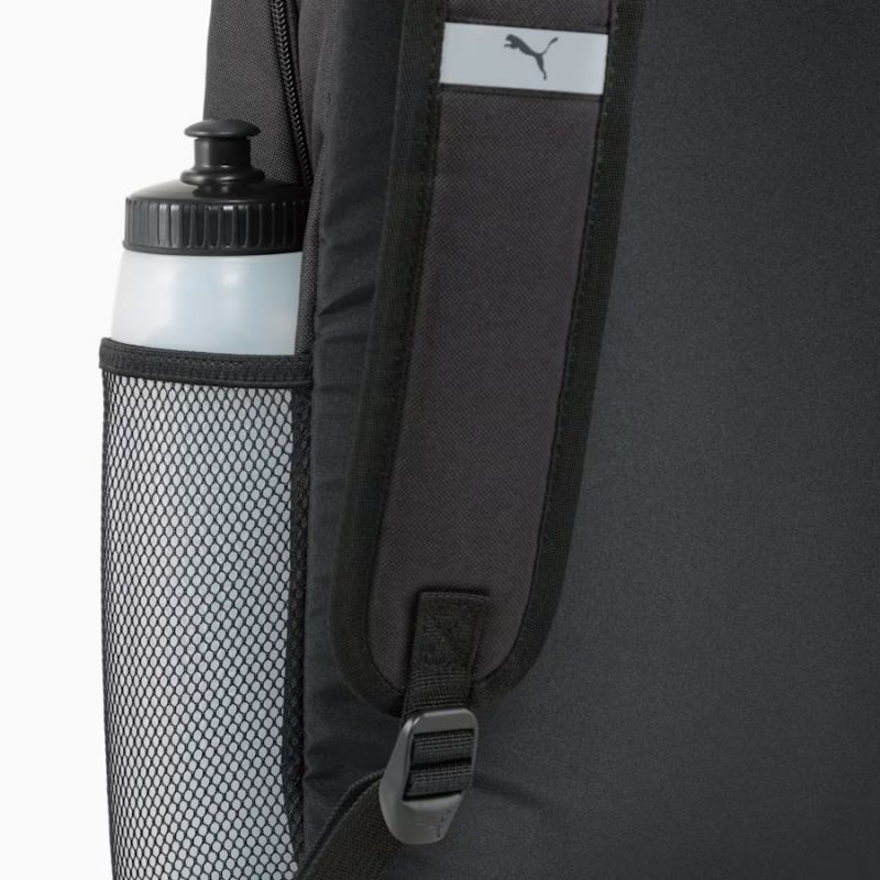 Pleack Puma Phase 091164-01