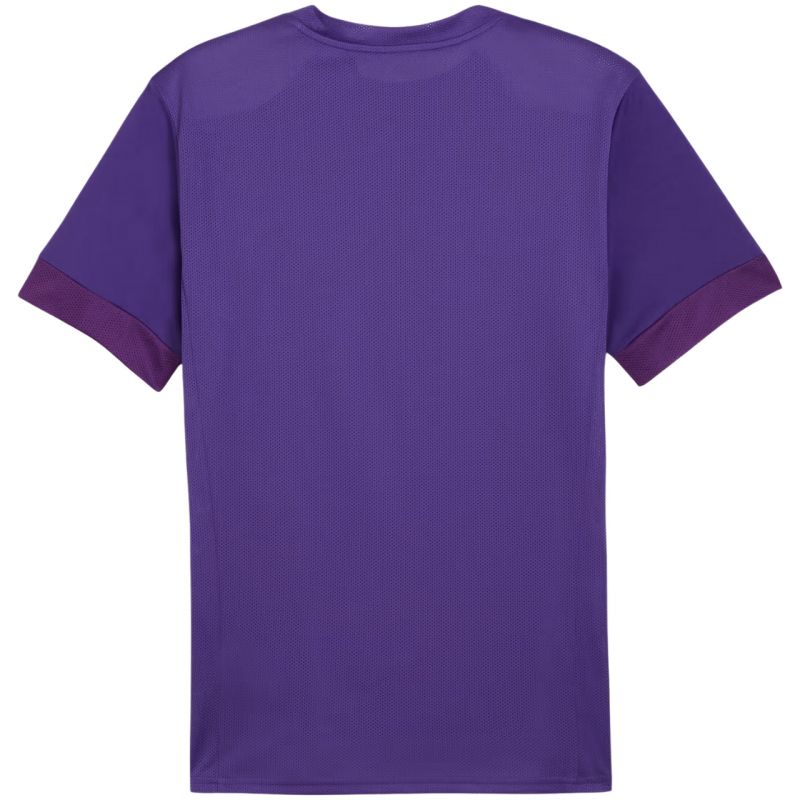 Tričko Puma teamGoal Matchday Jersey M 705747 10