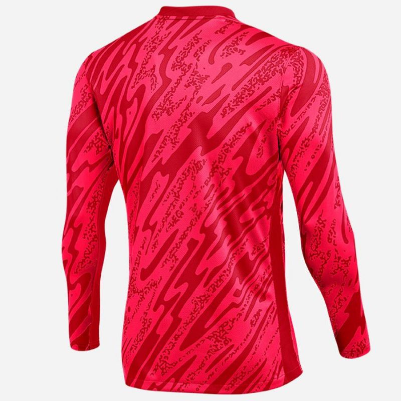Nike Gardien V Goalkeeper DF V M FD7474-644