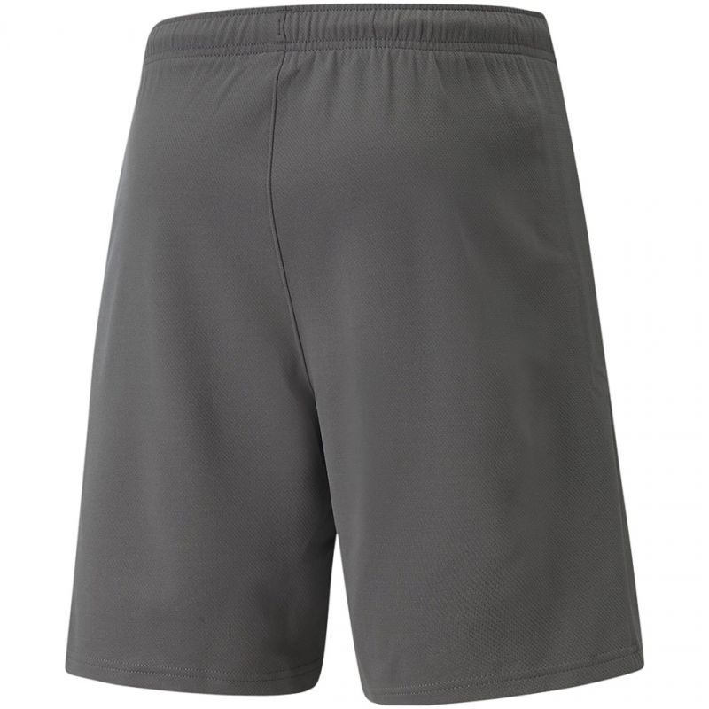 Trenky Puma teamRise Short M 704942 13