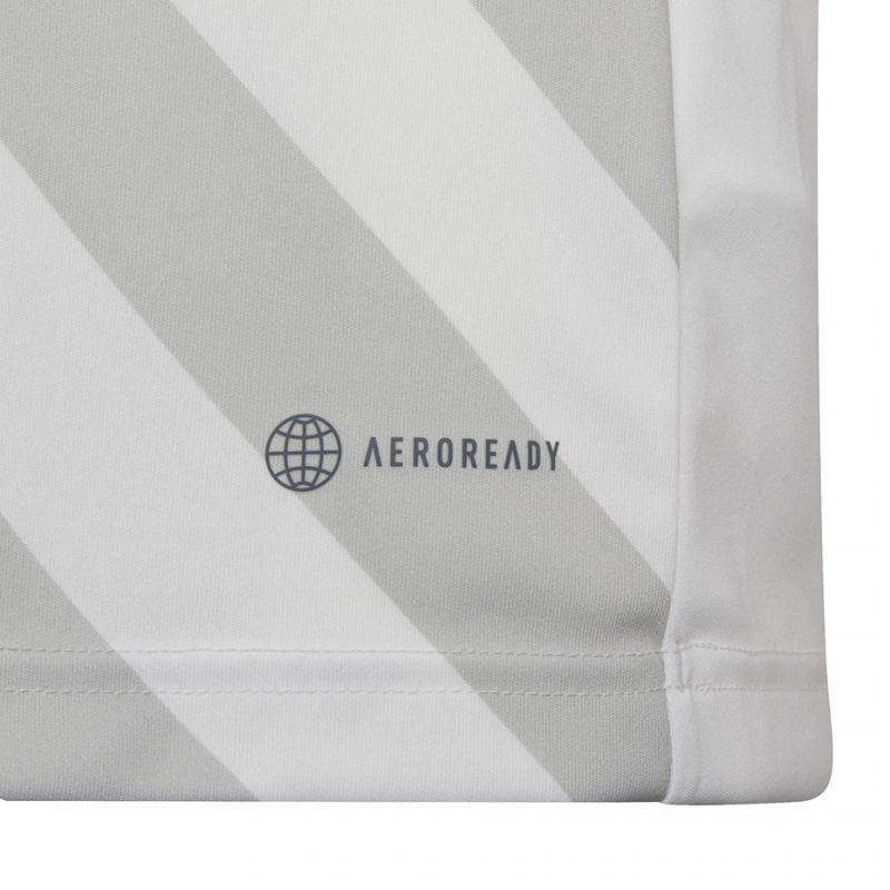 Tričko adidas Entrada 22 Graphic Jersey Jr HF0120