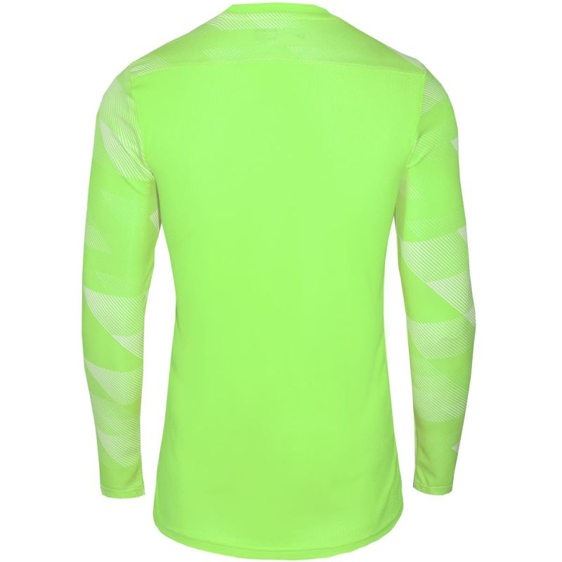 Tričko Nike Dry Park IV JSY LS GK Jr CJ6072-702