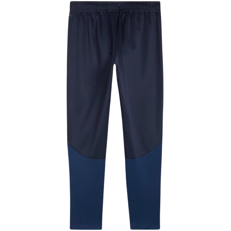 Tepláky Puma Team Goal Training M 658639 06