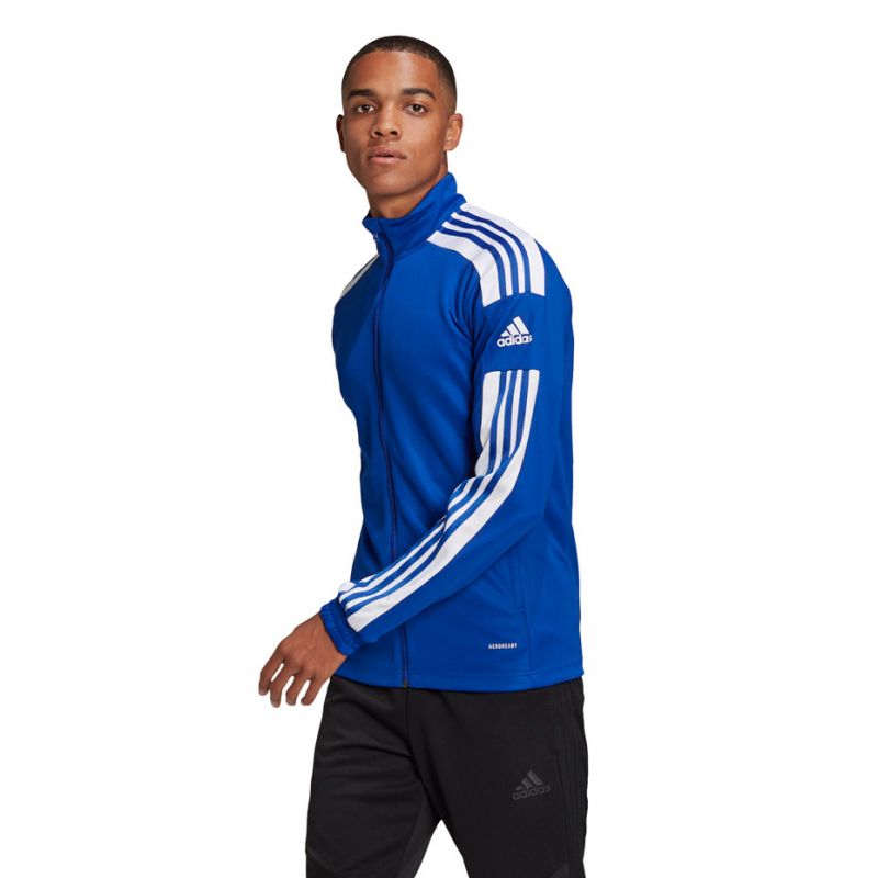 adidas Squadra 21 Training M GP6463