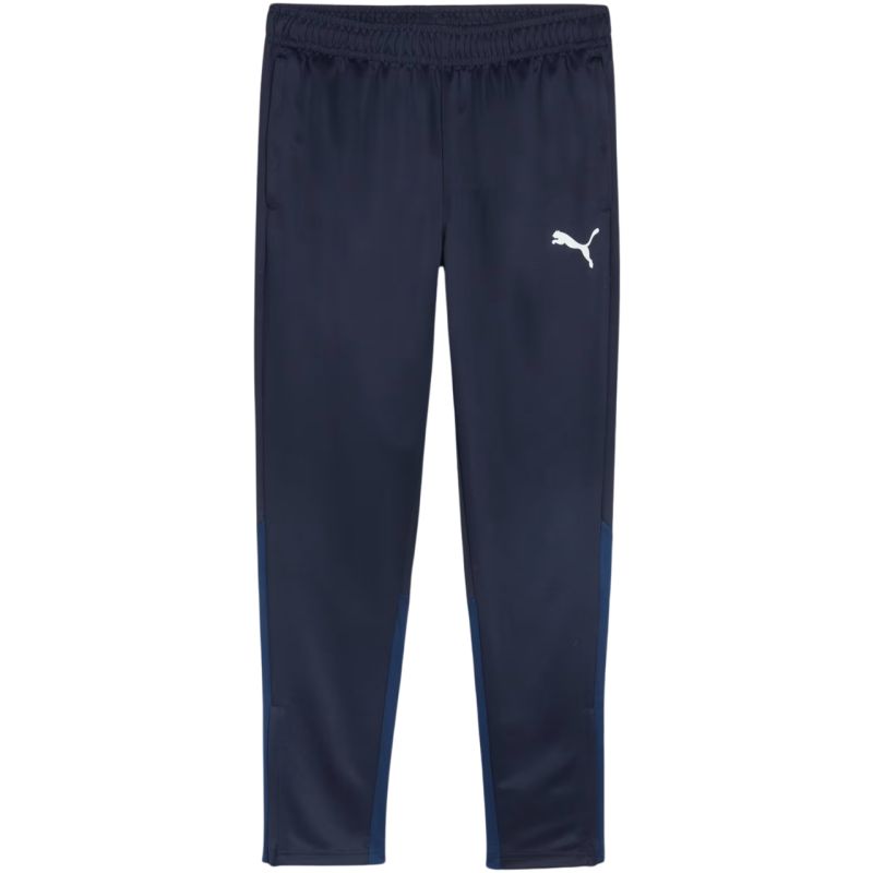 Tepláky Puma Team Goal Training M 658639 06