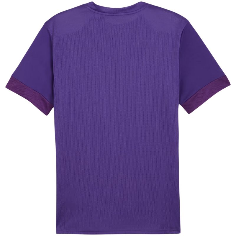 Tričko Puma teamGoal Matchday Jersey M 705747 10
