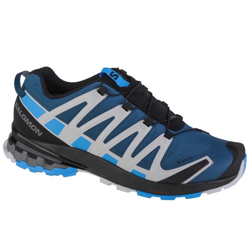 Salomon XA Pro 3D v8 GTX M 416292
