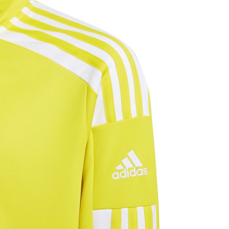adidas Squadra 21 Jr GP6468