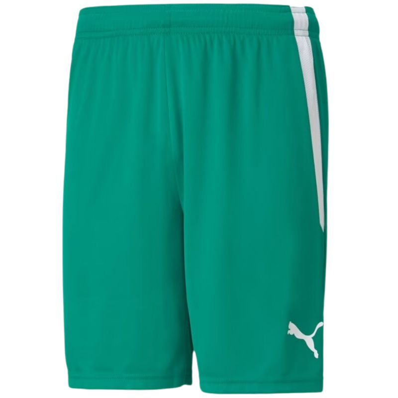 Trenky Puma teamLiga M 704924 05