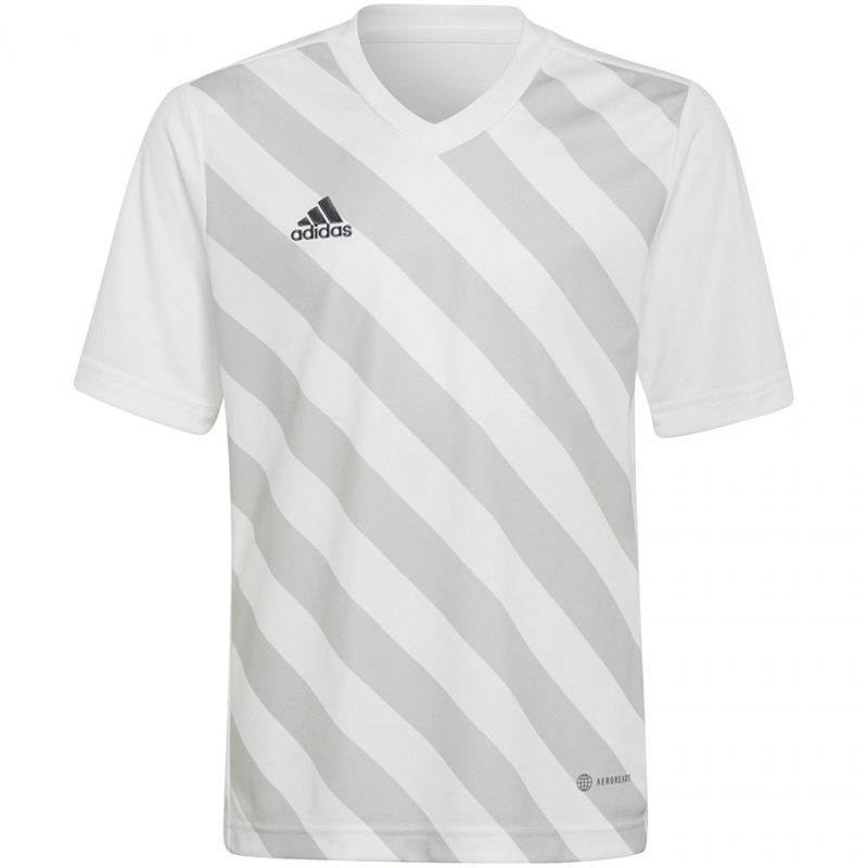 Tričko adidas Entrada 22 Graphic Jersey Jr HF0120