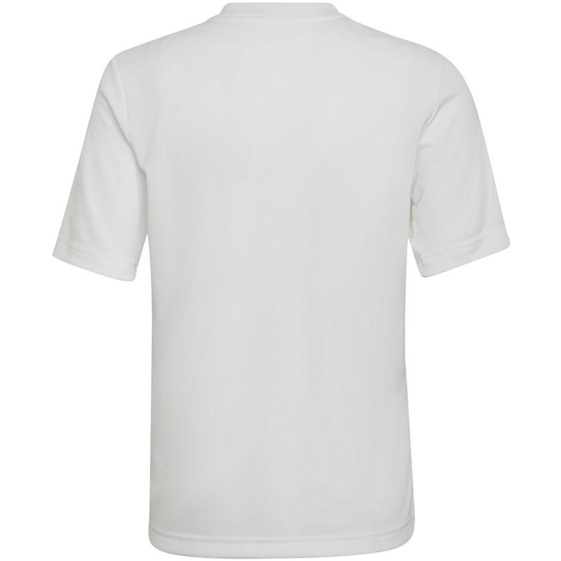 Tričko adidas Entrada 22 Graphic Jersey Jr HF0120