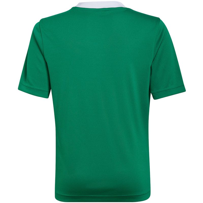 Tričko adidas Entrada 22 Jersey Jr HI2126