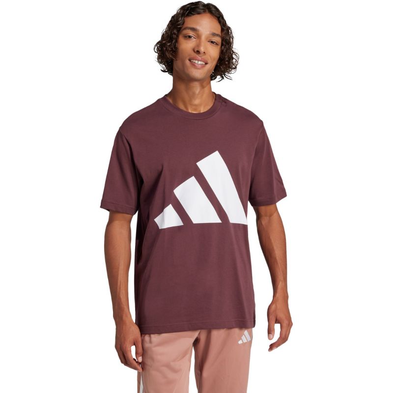 Tričko adidas Essentials Big Logo M JE8939
