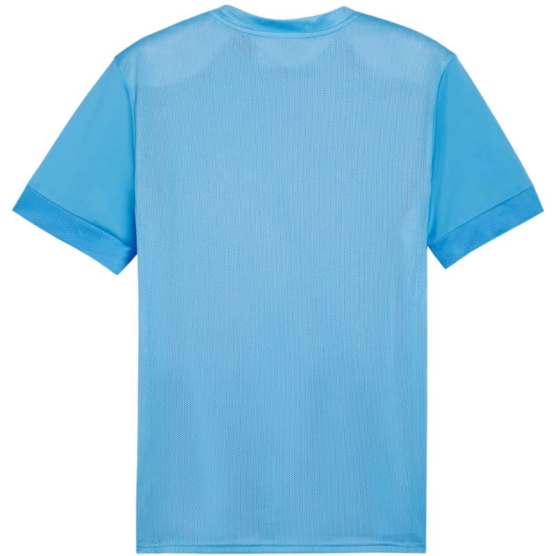 Tričko Puma teamGoal Matchday Jersey M 705747 18