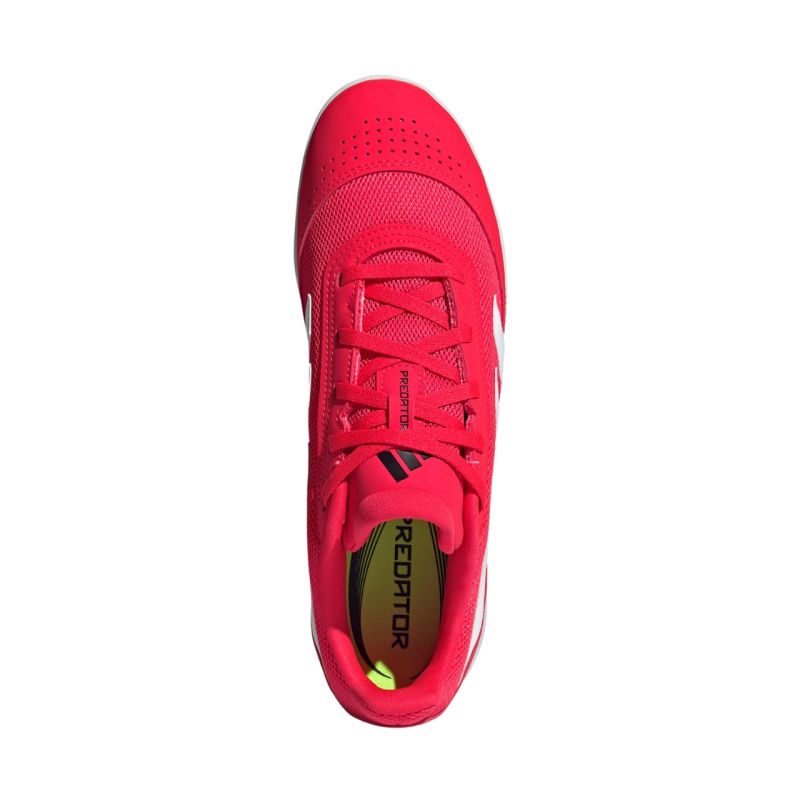 adidas Predator Club IN Sala M ID3792