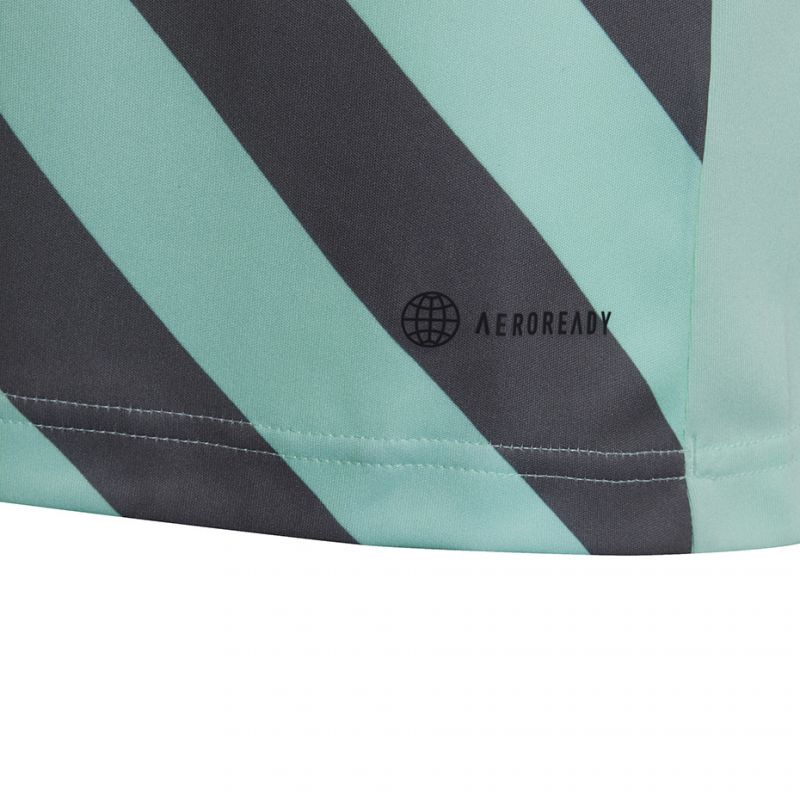 Tričko adidas Entrada 22 Graphic Jersey Jr HF0127