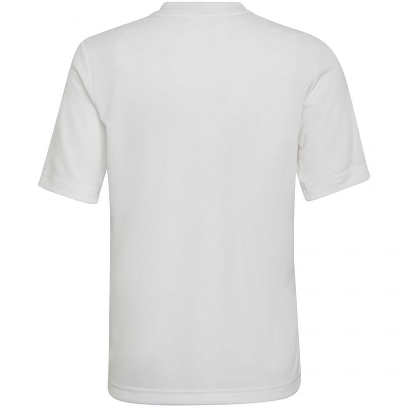Tričko adidas Entrada 22 Graphic Jersey Jr HF0120