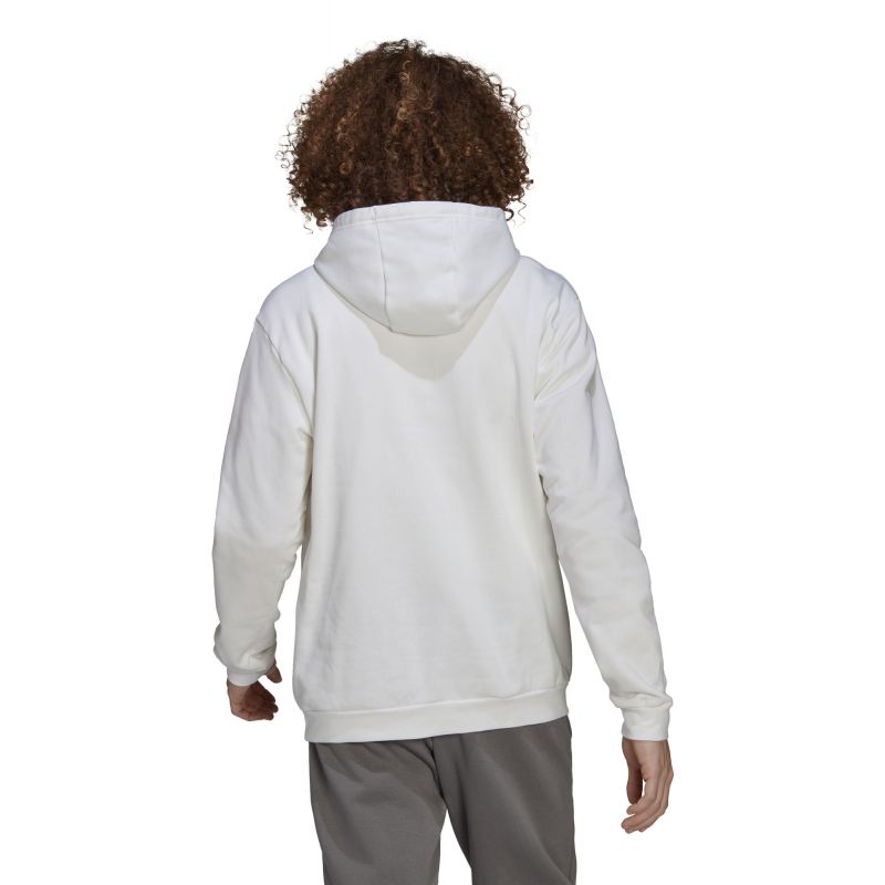adidas Entrada 22 M HG6302