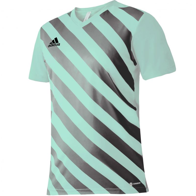 Tričko adidas Entrada 22 Graphic Jersey Jr HF0127