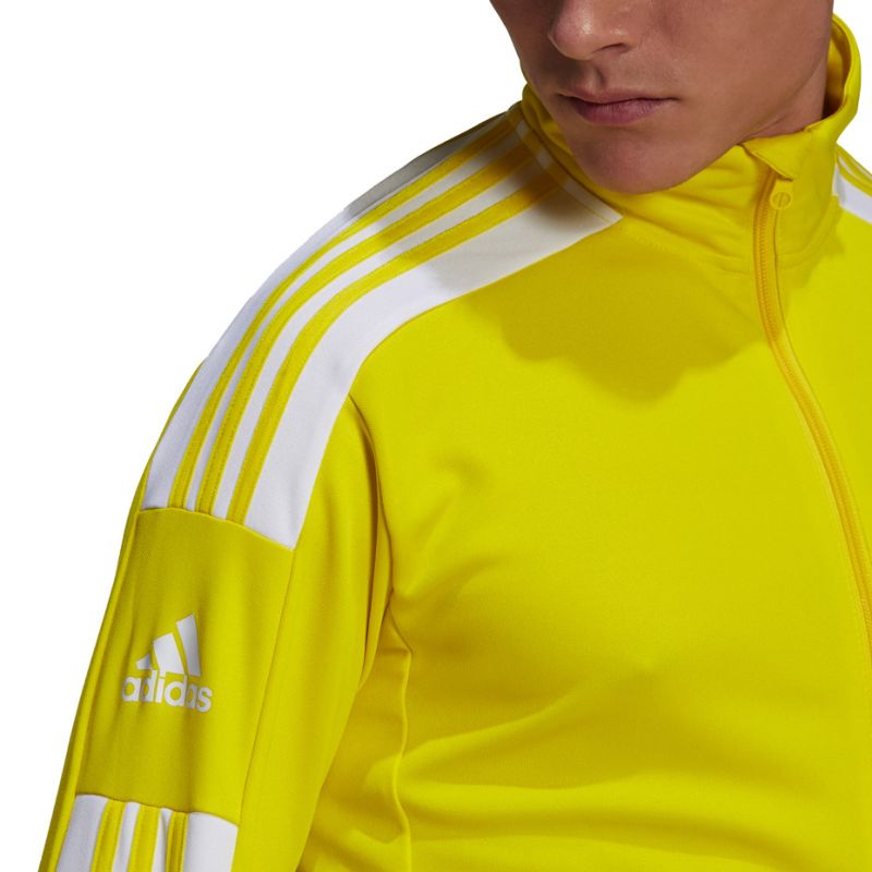adidas Squadra 21 Training M GP6465