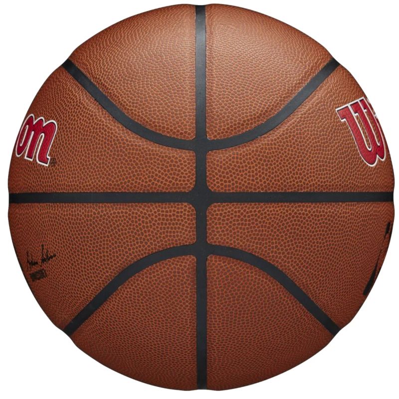 Lopta Wilson Team Alliance Toronto Raptors Ball WTB3100XBTOR