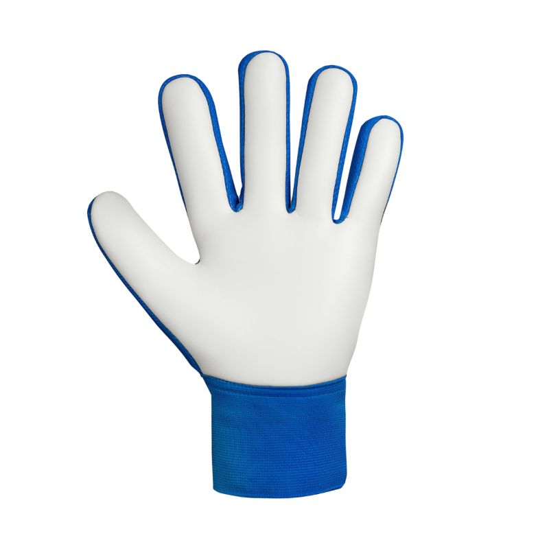 Brankárske rukavice Reusch Attrakt Starter Solid Jr 5572514 4467