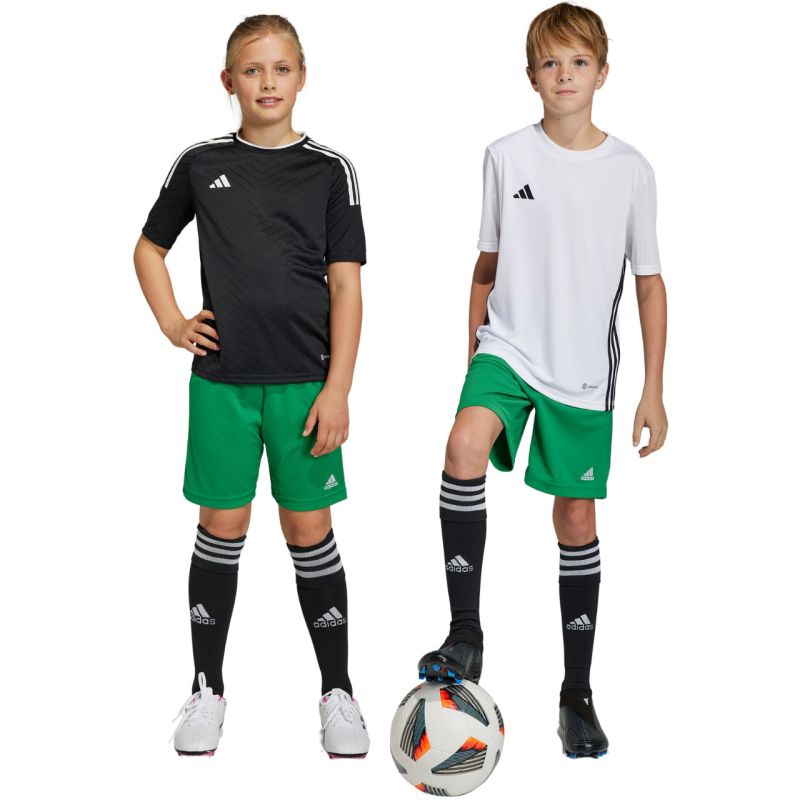 Trenky adidas Entrada 22 Jr IC7410