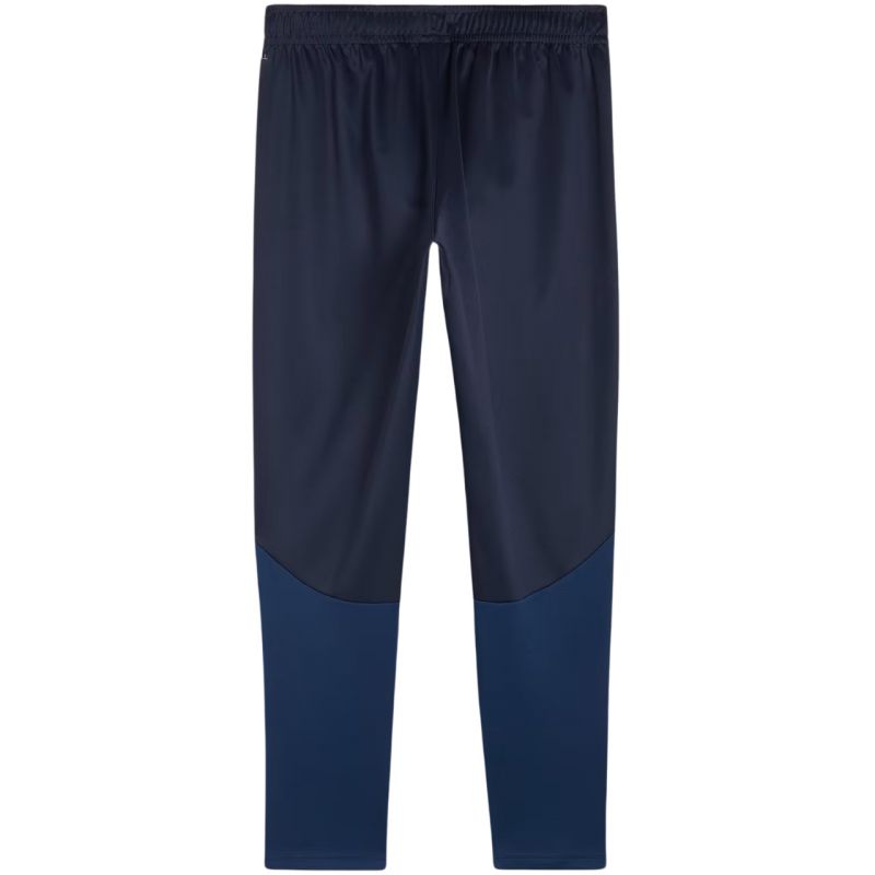 Tepláky Puma Team Goal Training M 658639 06