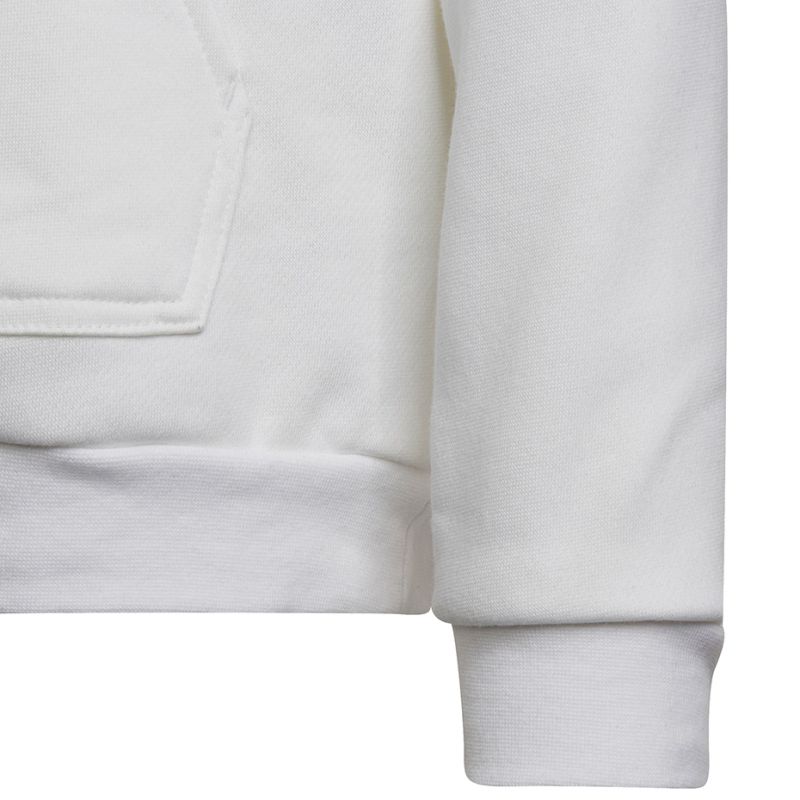 adidas Entrada 22 Hoody Jr HG6303