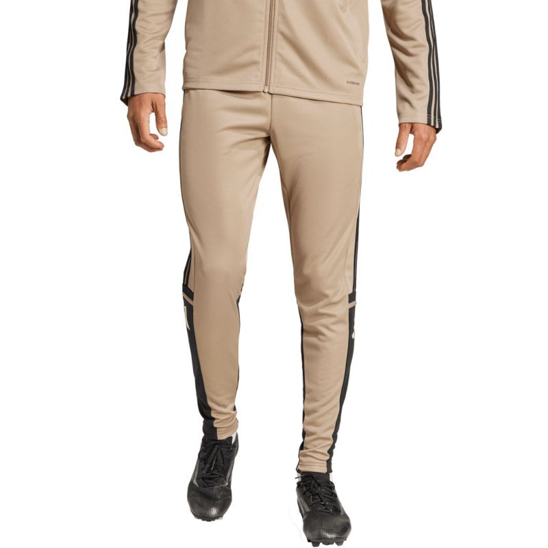 Tepláky adidas Squadra 25 Training M JP3374