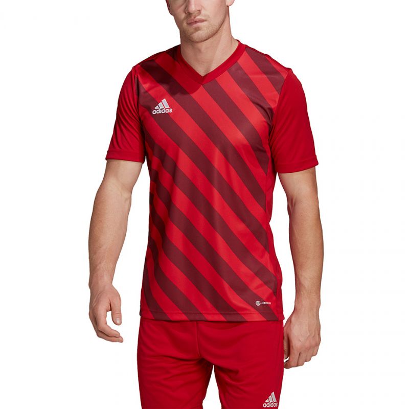 Tričko adidas Entrada 22 Graphic Jersey M HB0572