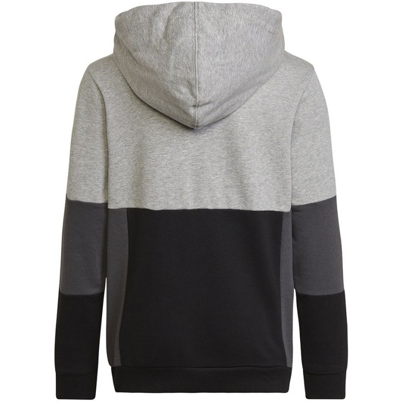 adidas Colourblock Hoodie Jr HN8563