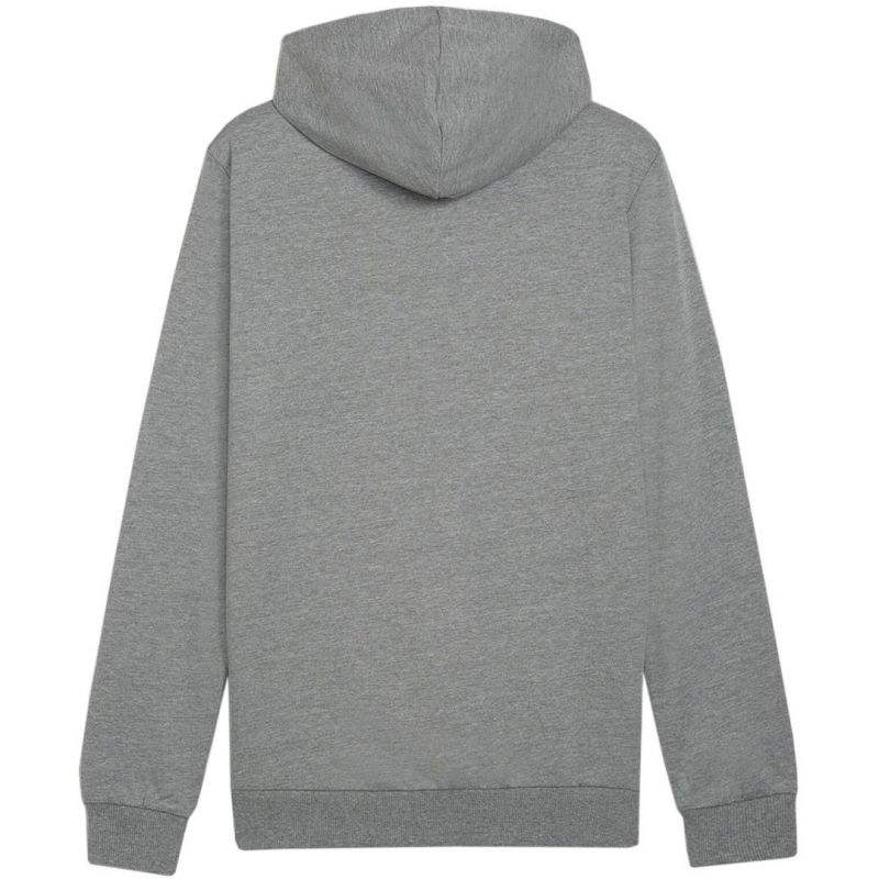 Puma Team Goal Casuals Hoody M 658618 33